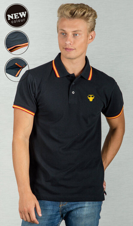 Polo taurino Hispano